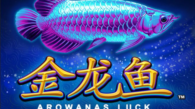 Slot machine online Arowanas Luck